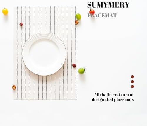 Placemats Set of 6 Vinyl/Plastic Woven Place Mats for Kitchen Table Indoor/Outdoor Washable Placemat Wipeable Dining Table Mats (White Stripes,6)